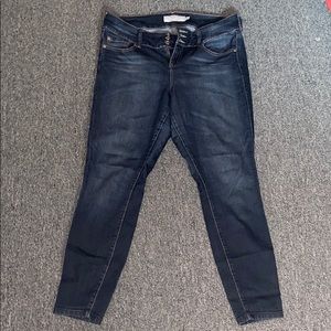 Torrid jeans-Denim Collection